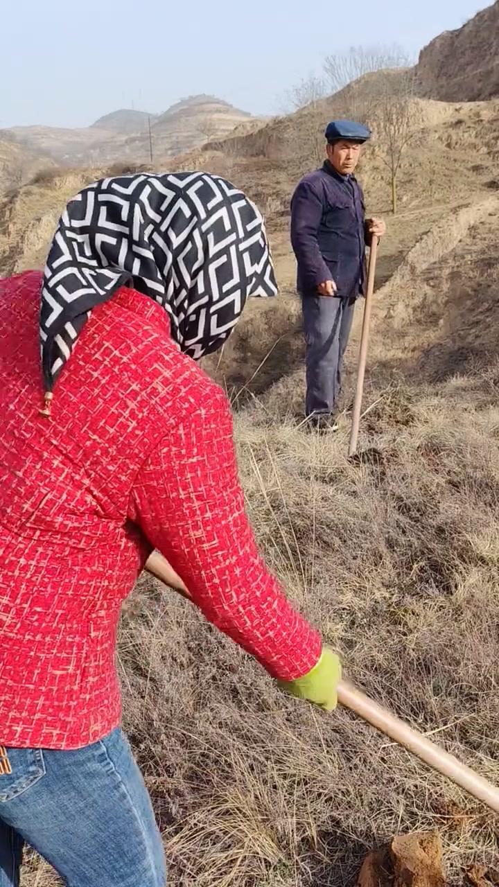 🌾回到西北老家，才懂什么是“不演不装”的真实生活。

清晨被鸡叫唤醒，推开窗就