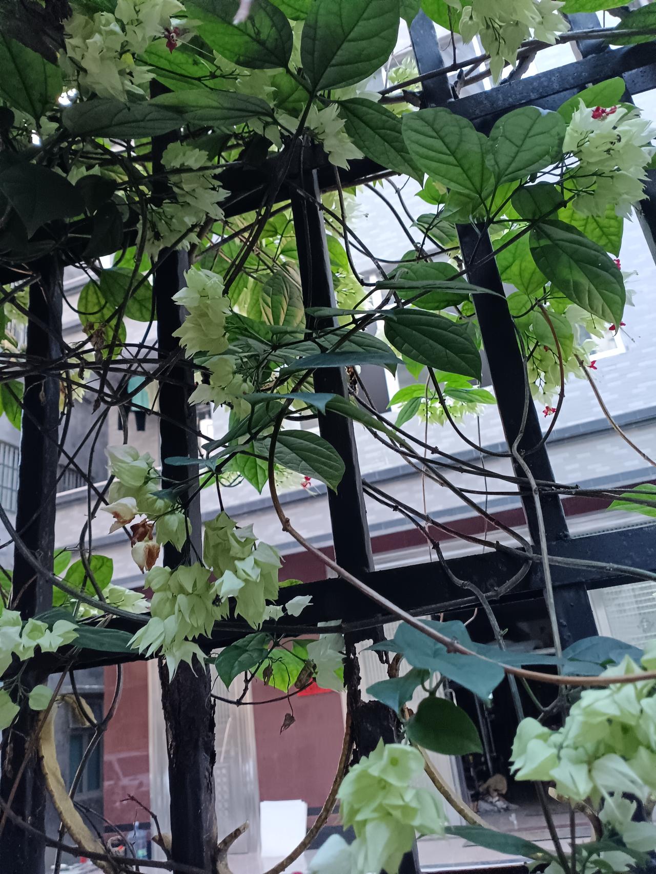 十年还清2077万：那个90岁老太太教会我们什么叫“做人”

特别欣赏的一段话：
