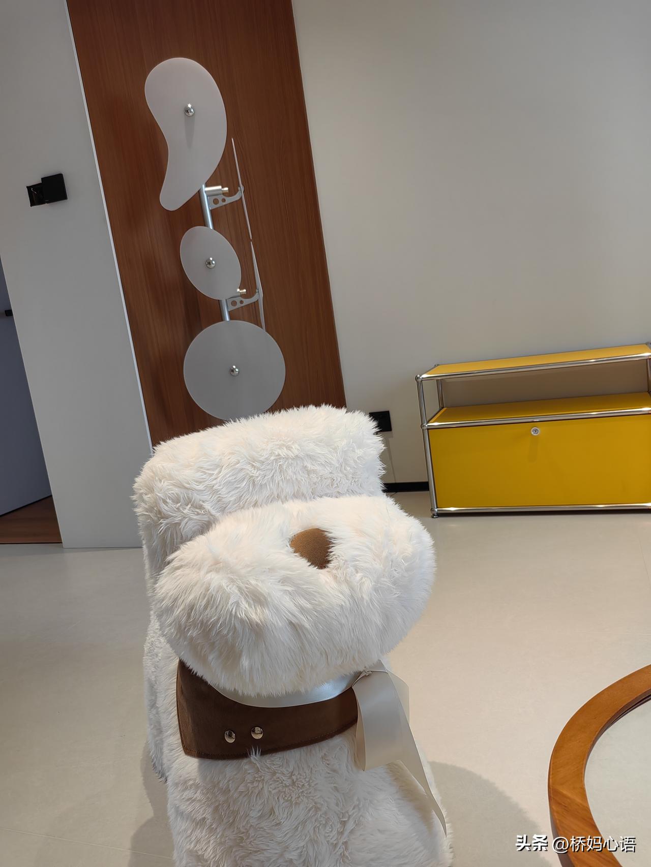 上班时拿五千的退休能拿多少?这个问题我最有资格回答了。因为我上班的时候就是挣50