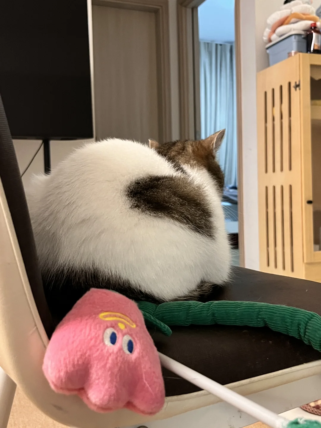 肥美大屁股🤤感觉糯糯的