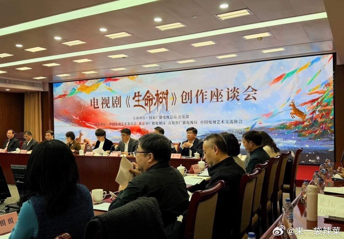 生命树研讨会主办单位：广电总局和公安部导演李雪，主演胡歌，李光洁，梅婷均到场 