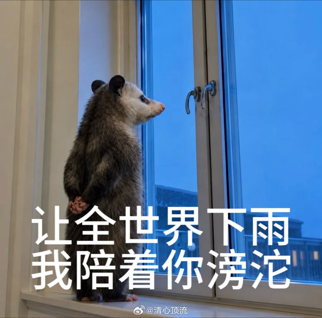 周深回应与Ella合作 很难得能遇到OST和电影契合度这么高的作品，周深与Ell
