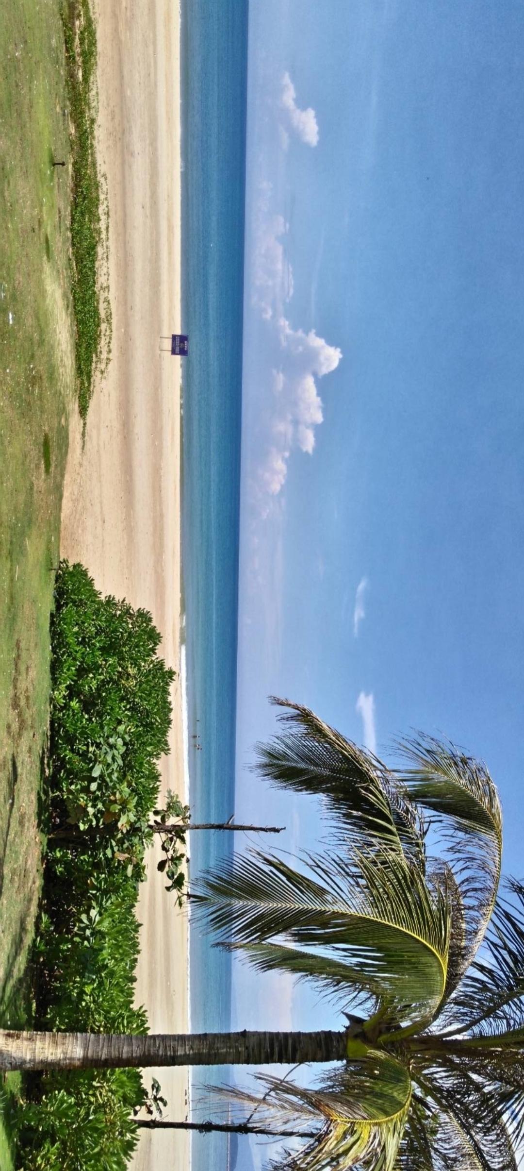 阳光沙滩，海浪轻拍，热带风情，度假胜地。