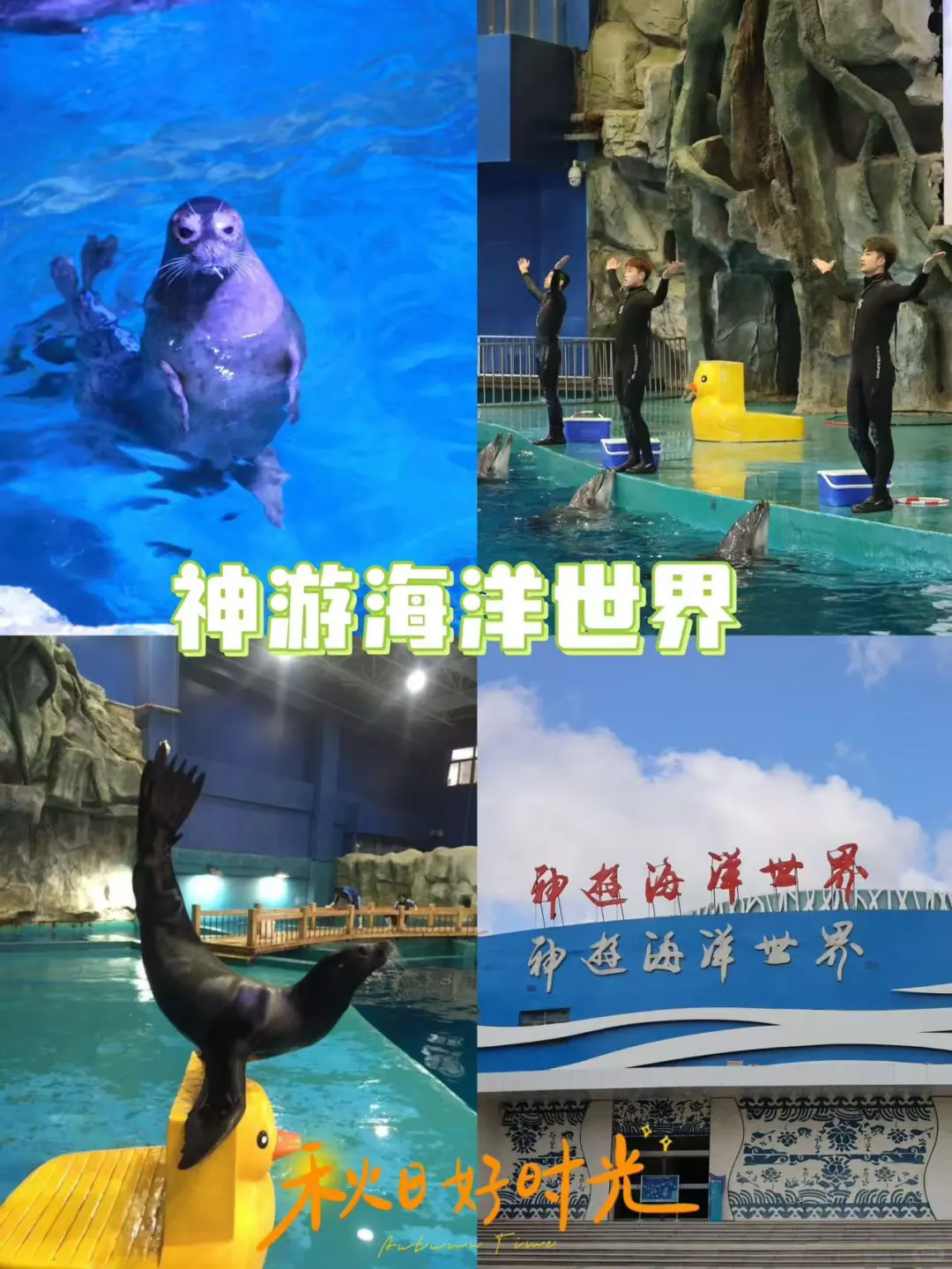 ✨威海华夏城，隐世桃源一日攻略🌿 🌊威海不只有碧波万顷，华夏城更是...