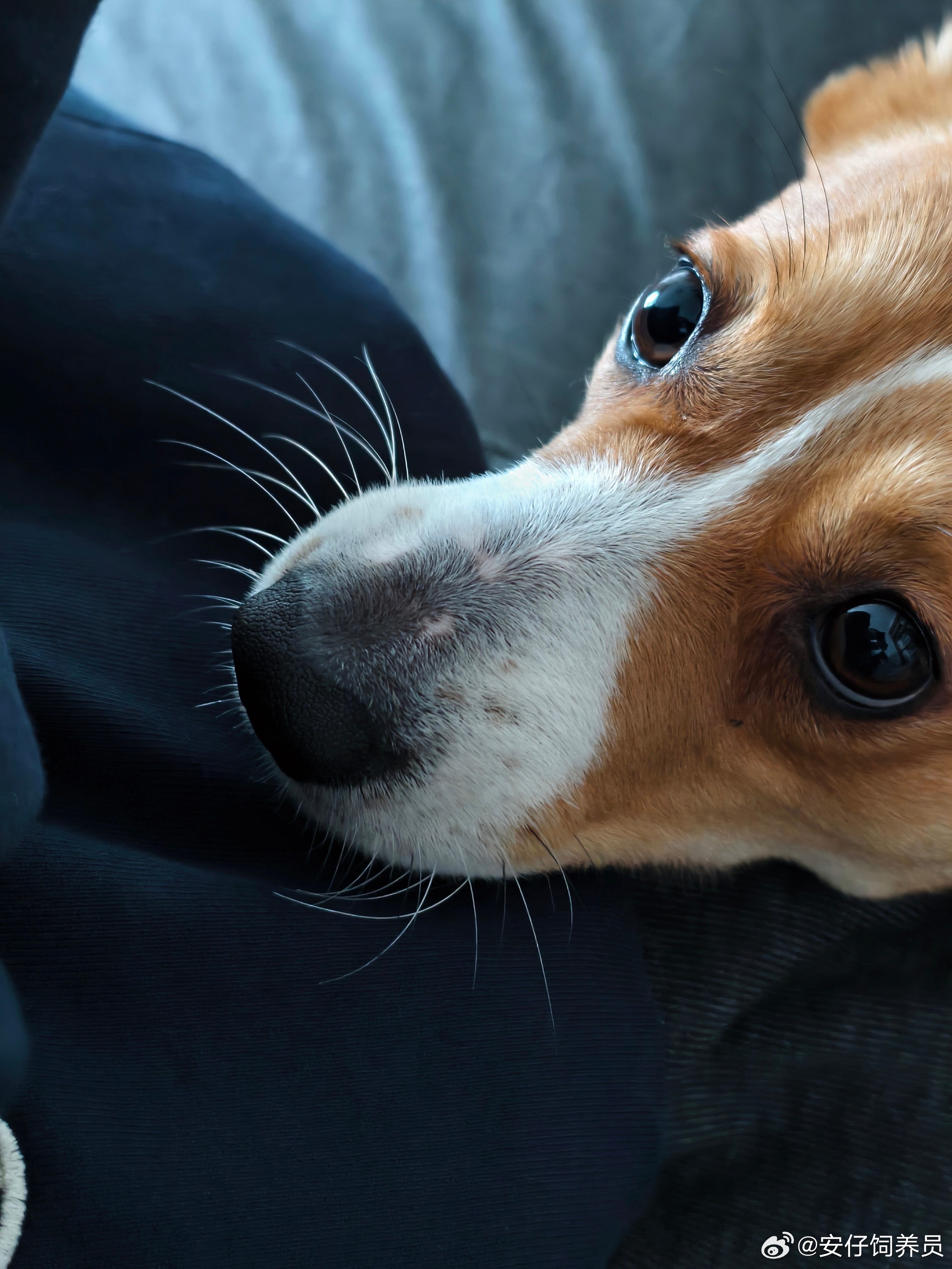 试了下新手机，真不错，国产手机真能抓住我们中国女人的心，不需要什么花里胡哨的功能
