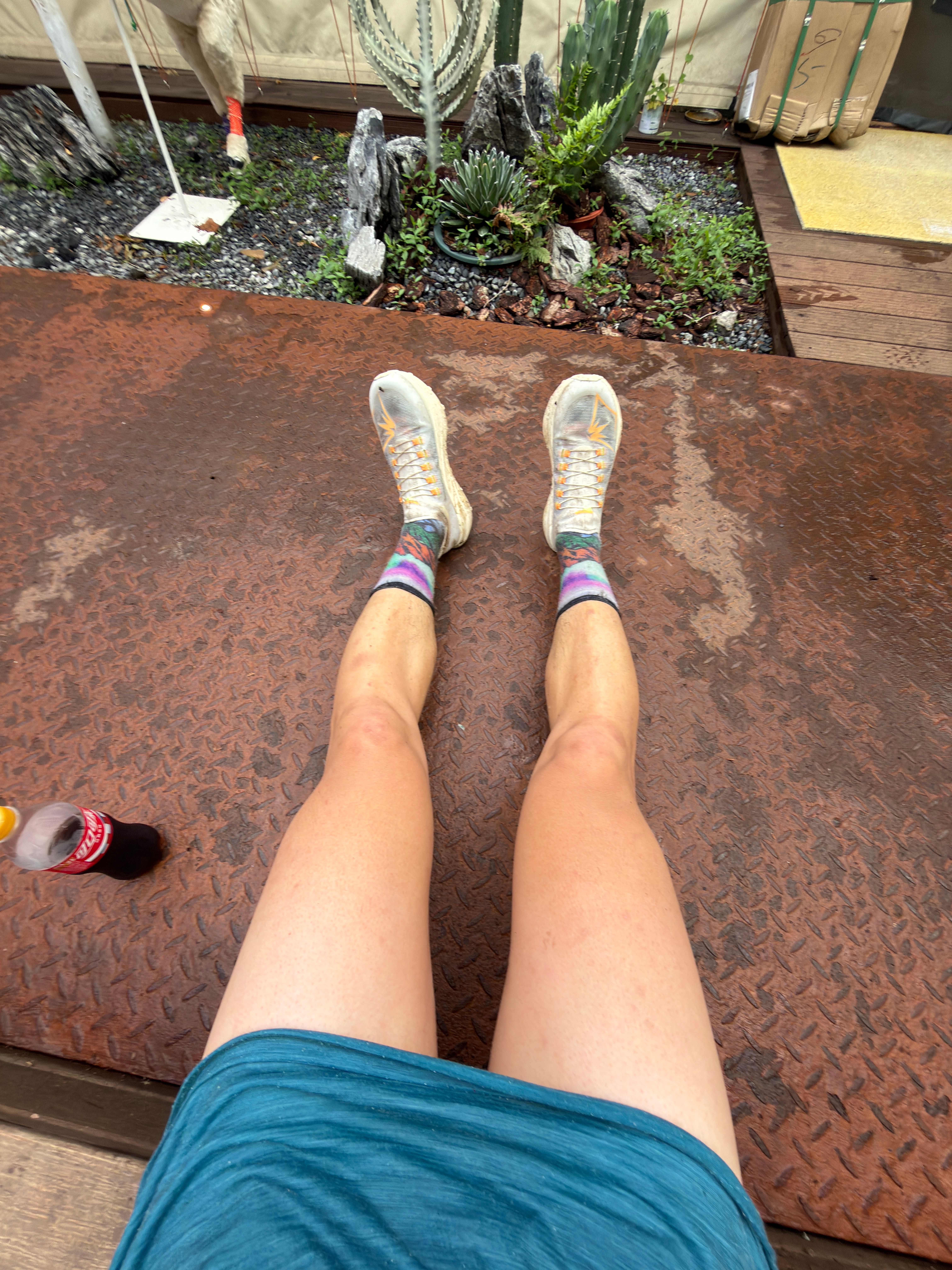 想运动的心又脉动起来了越野跑smartwool 端午第一天雨后上山笑嘻嘻小陶人后