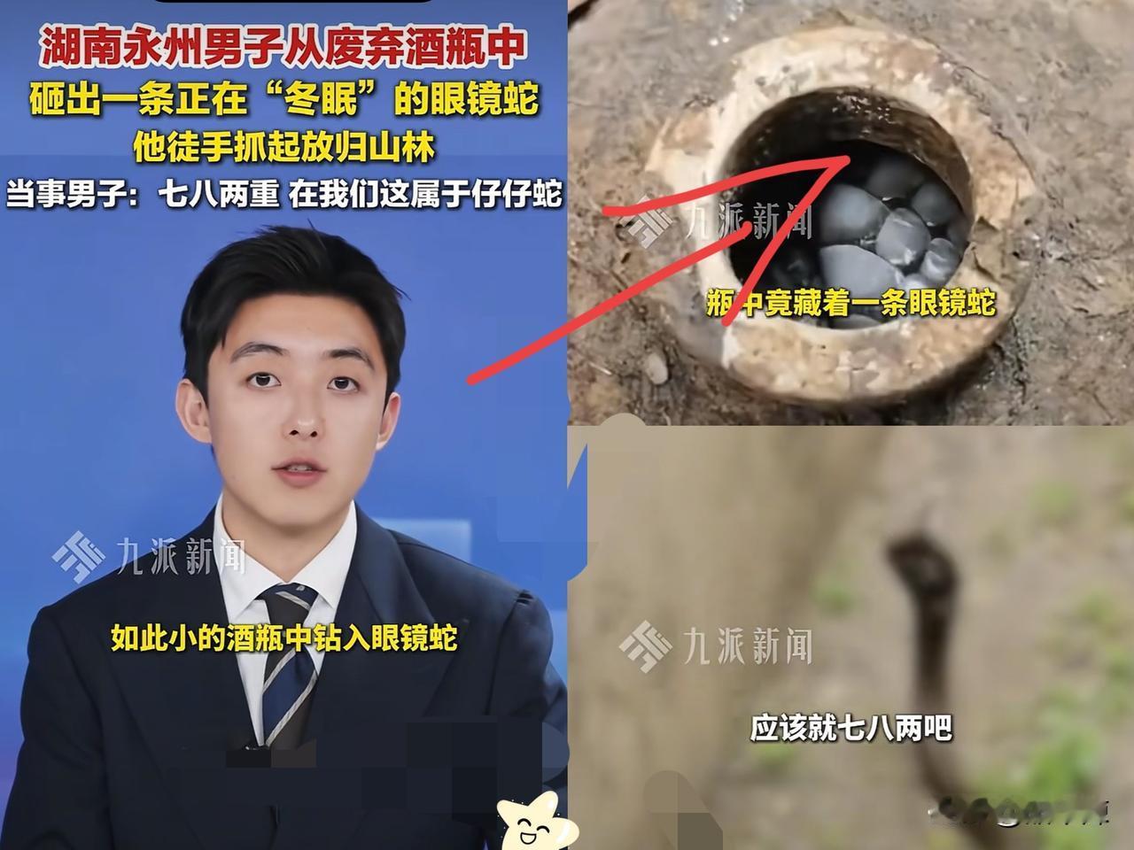 胆子真大！湖南一男子捡到个酒瓶，以为是古董，就踢了一脚！结果，发现瓶子里竟然有动