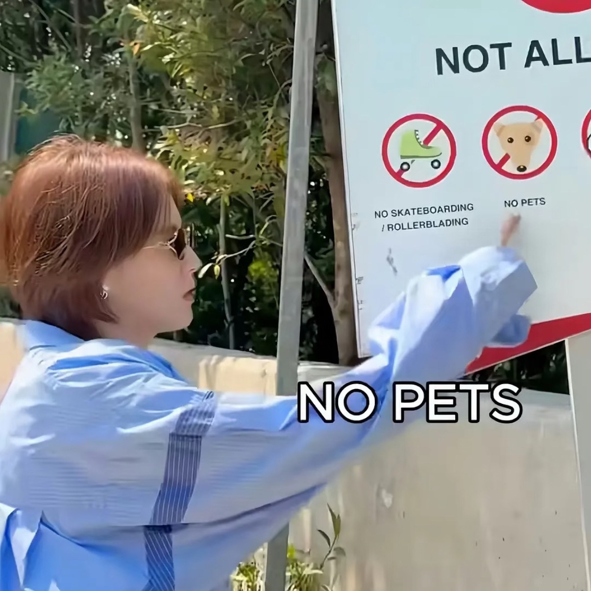 no Pets I'm Pets我真的要被这两张笑发财了啊哈哈哈哈哈哈哈哈哈曾沛