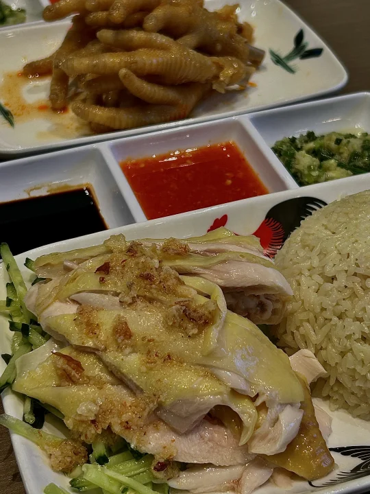 珠海探店 | 不可錯過的新店 | 我的美食日記