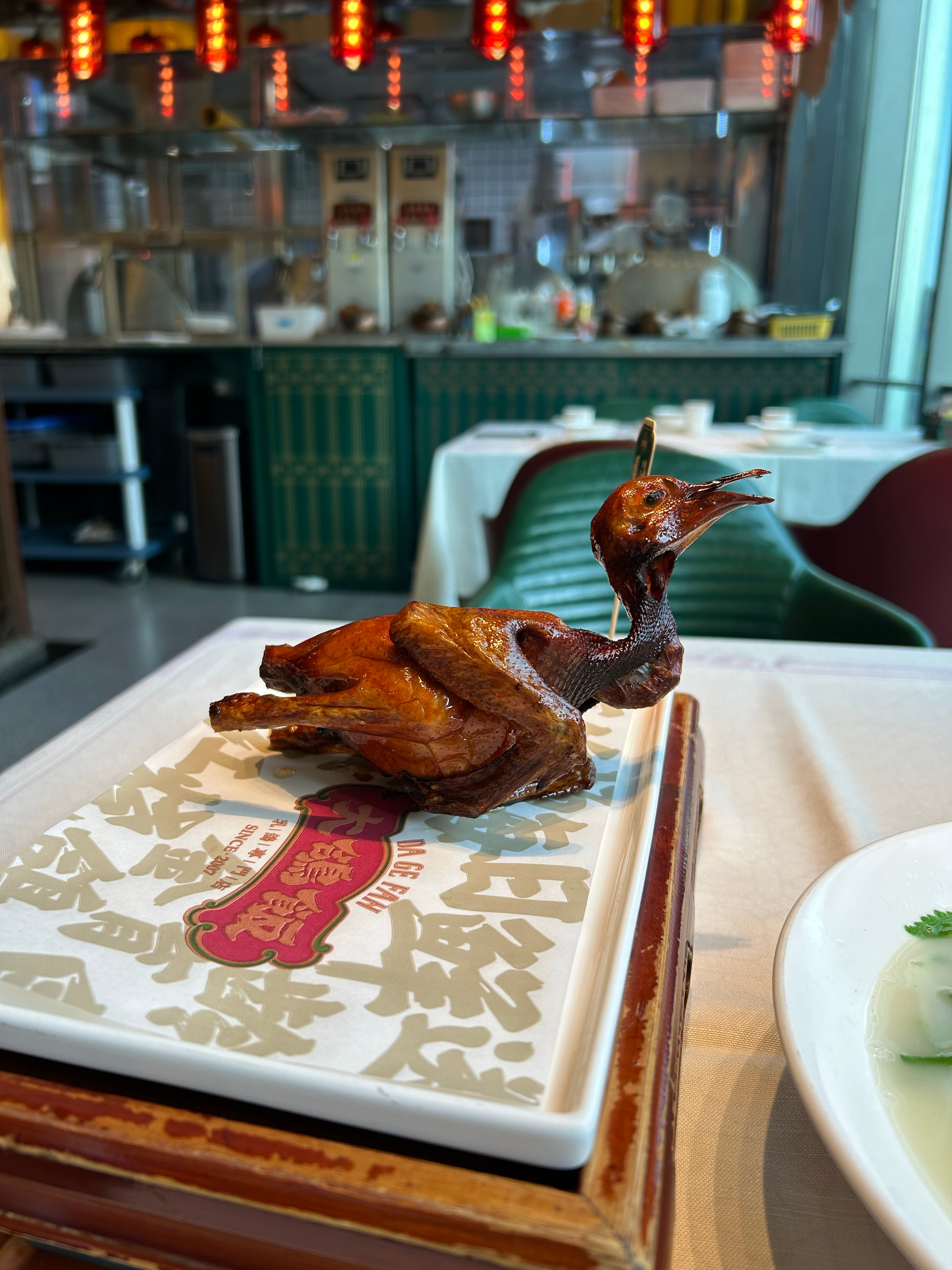 鸽鸽啊鸽鸽 爱与你一起傻笑发梦顽皮