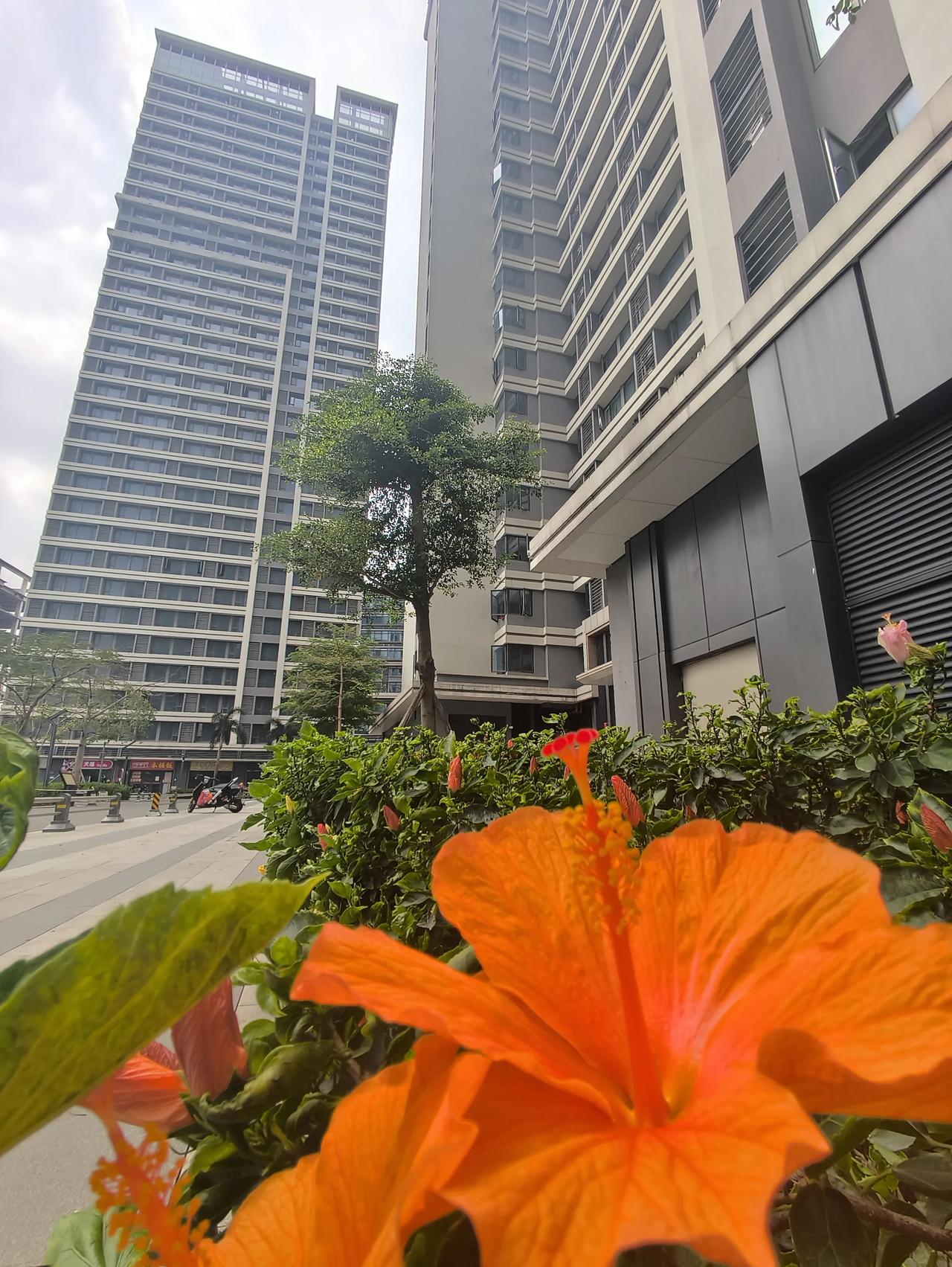 投资公寓真的还有未来吗
今天在黄埔科学城智慧广场那边了解到那边的公寓居然只卖19