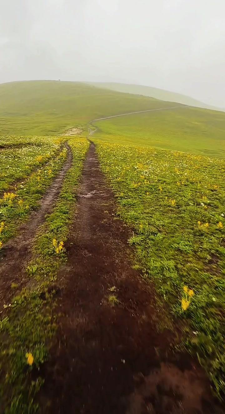 山野场景太治愈了，那种绿野仙踪的感觉，仿佛让人置身画中。

这种治愈系的生活简单
