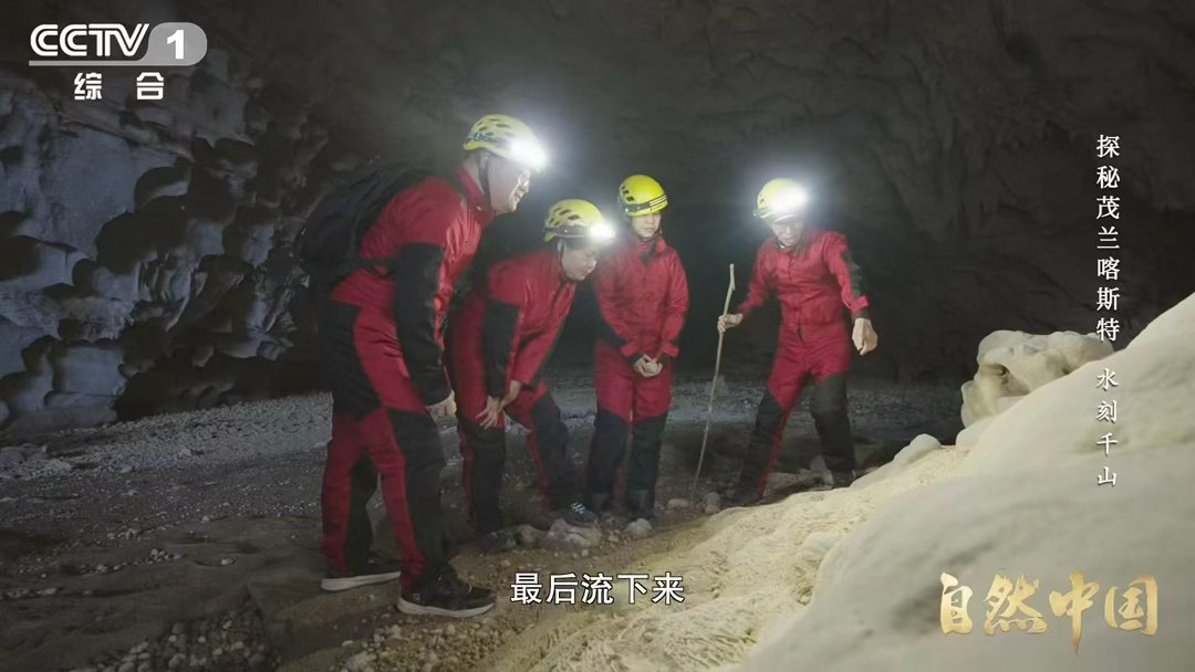 自然中国你见过石头开出的花吗方解石在溶洞入口处慢慢过饱和，水滴还没落下就已决定开