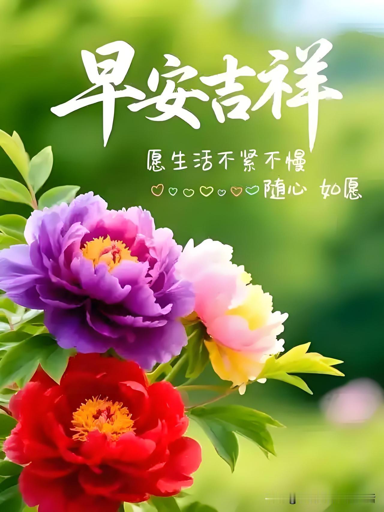 早安吉祥，愿生活不紧不慢，随心如愿。🌸💕