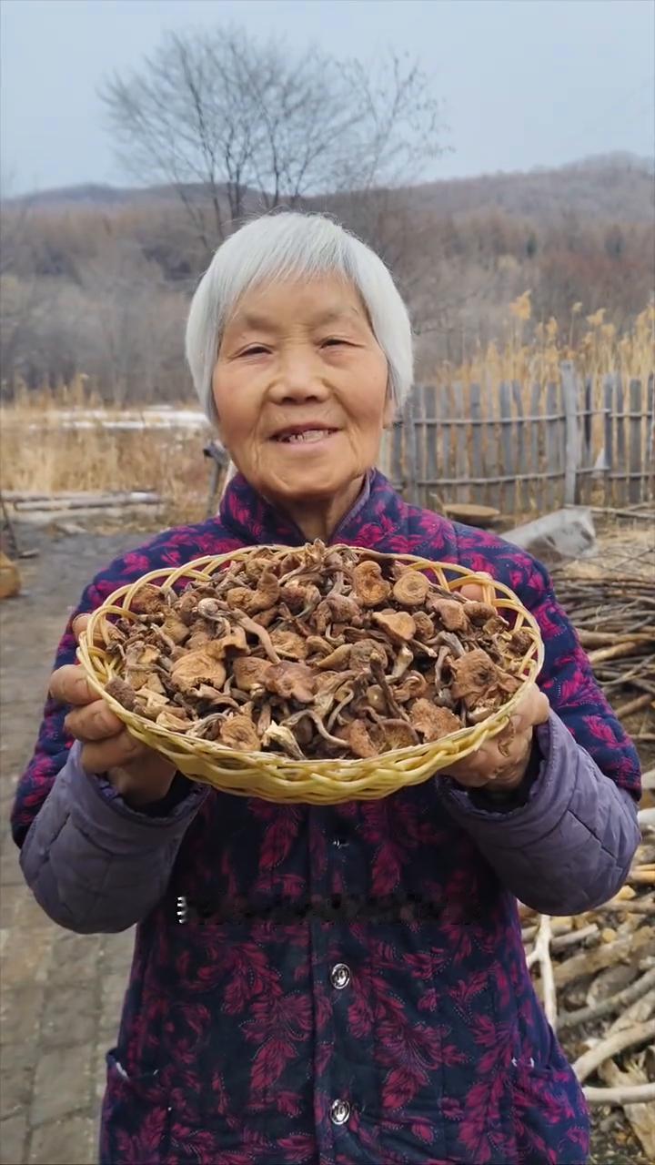 黑龙江原始大森林，纯野生干榛蘑小丁小片。
我家是小兴安岭的主脉，原始大森林。这是