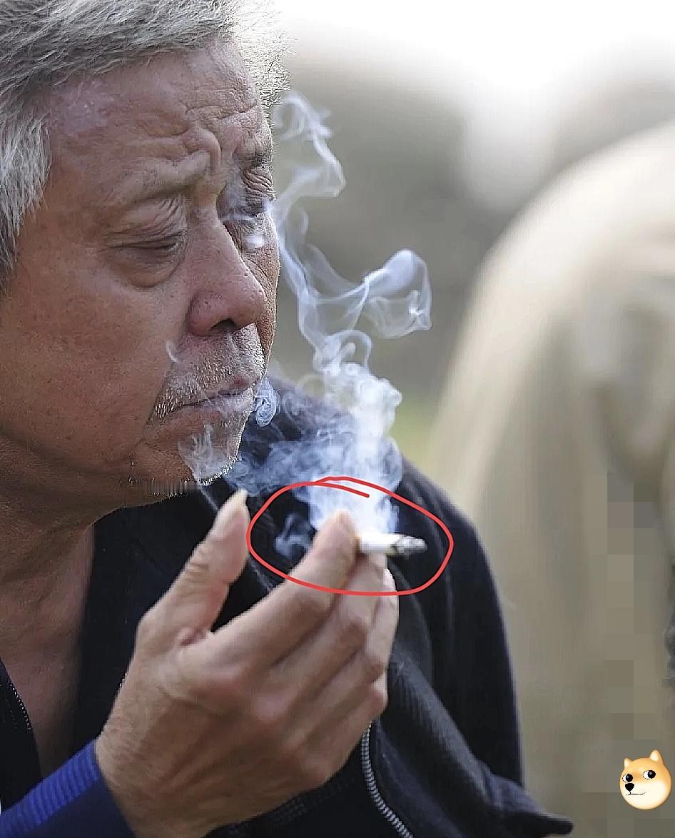 女儿买了新房，请父亲来家里做客，
父亲刚点上烟，女儿一句“爸，别抽了，烟味对孩子