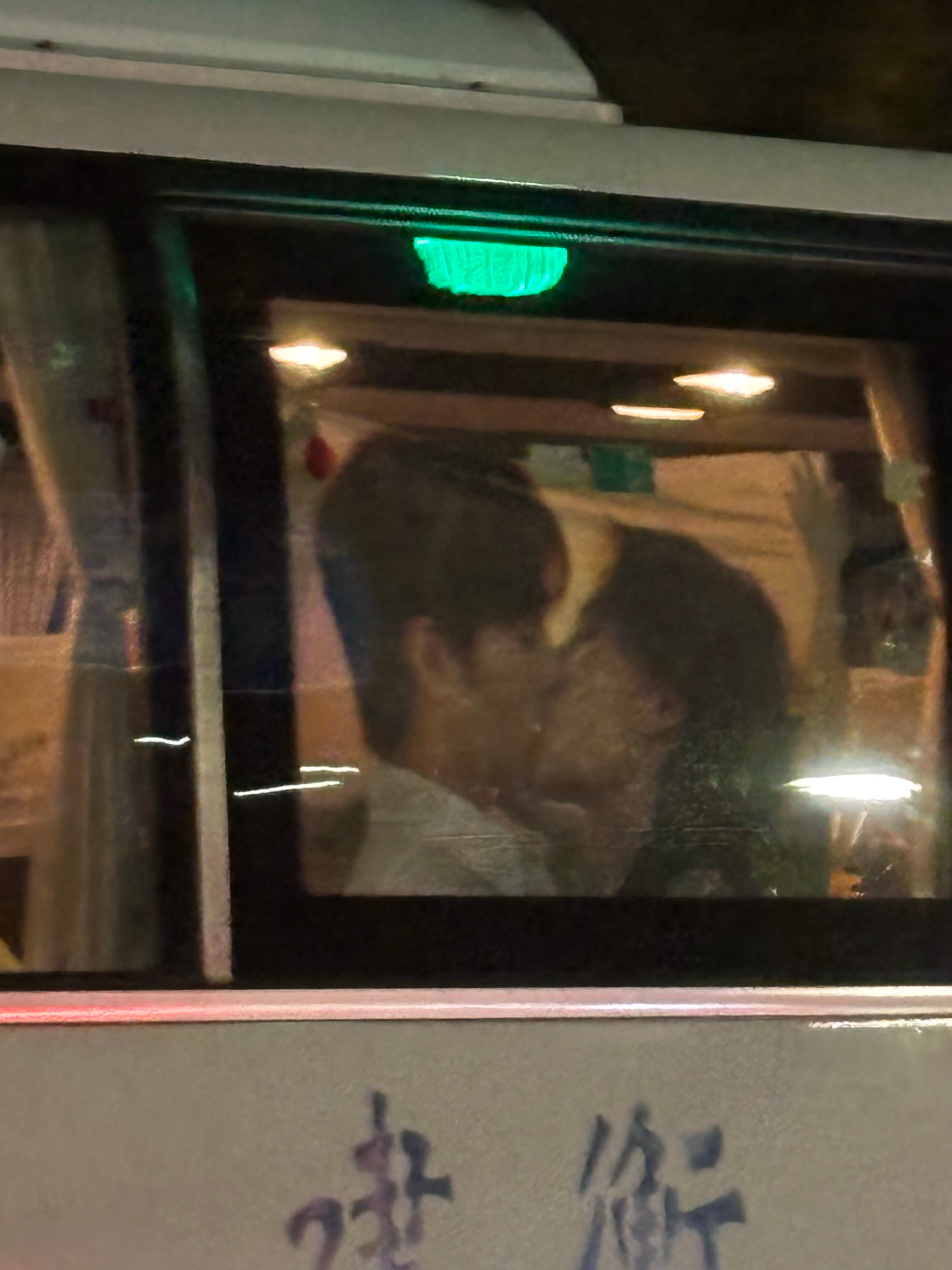 真看到王一博肖战亲嘴了 ​​​