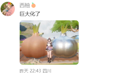 这蒜跟包子一样大 
