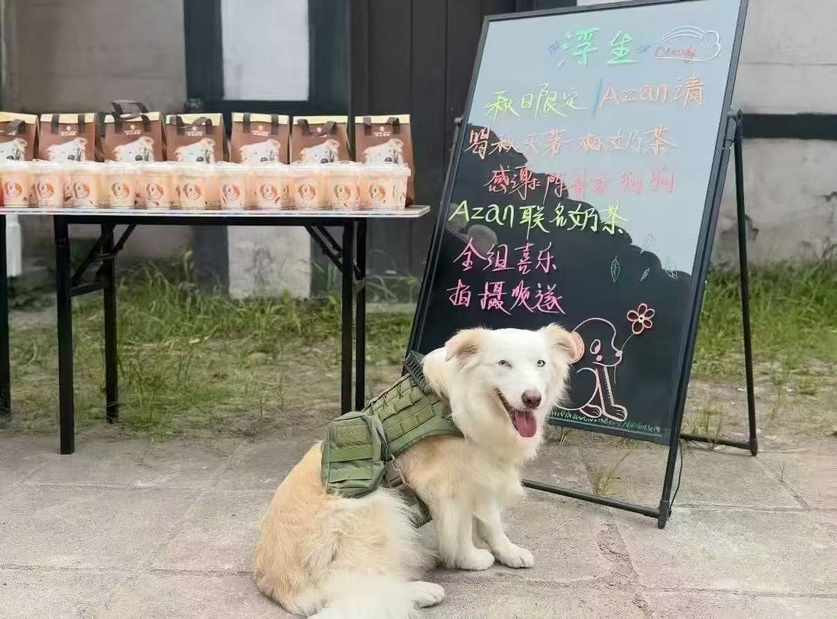 陈哲远的狗请客浮生剧组陈哲远的狗请浮生全组喝奶茶 哇！！！azan请客浮生剧组啦