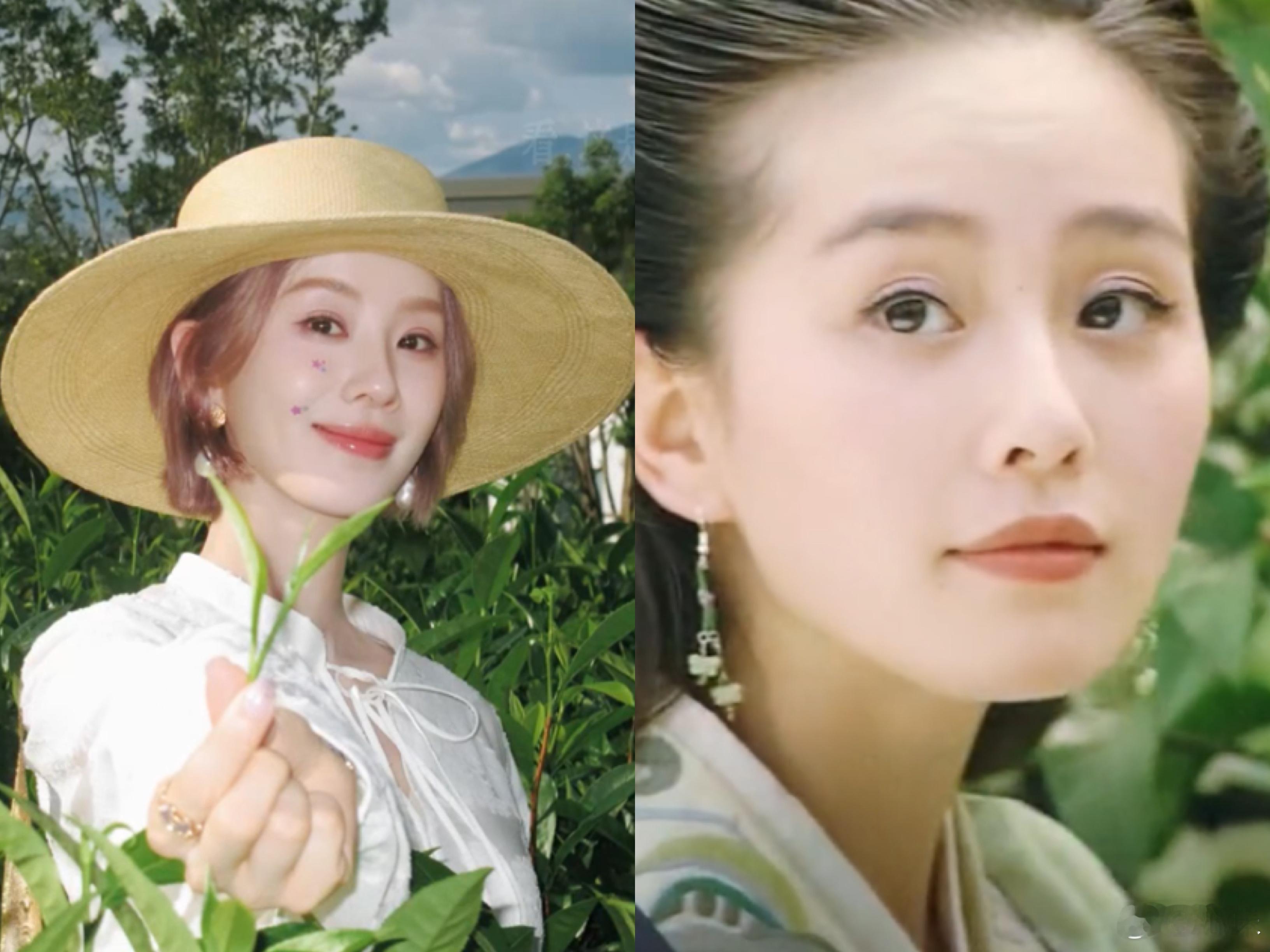 刘诗诗🍠采茶vlog有没有梦回尹双双的感觉 