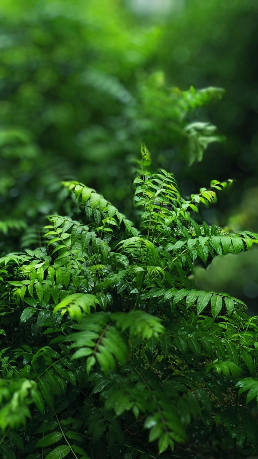 南京用狂风暴雨电闪雷鸣来迎接大暑，这开场够震撼！7月22日江苏就“一半淋雨，一半
