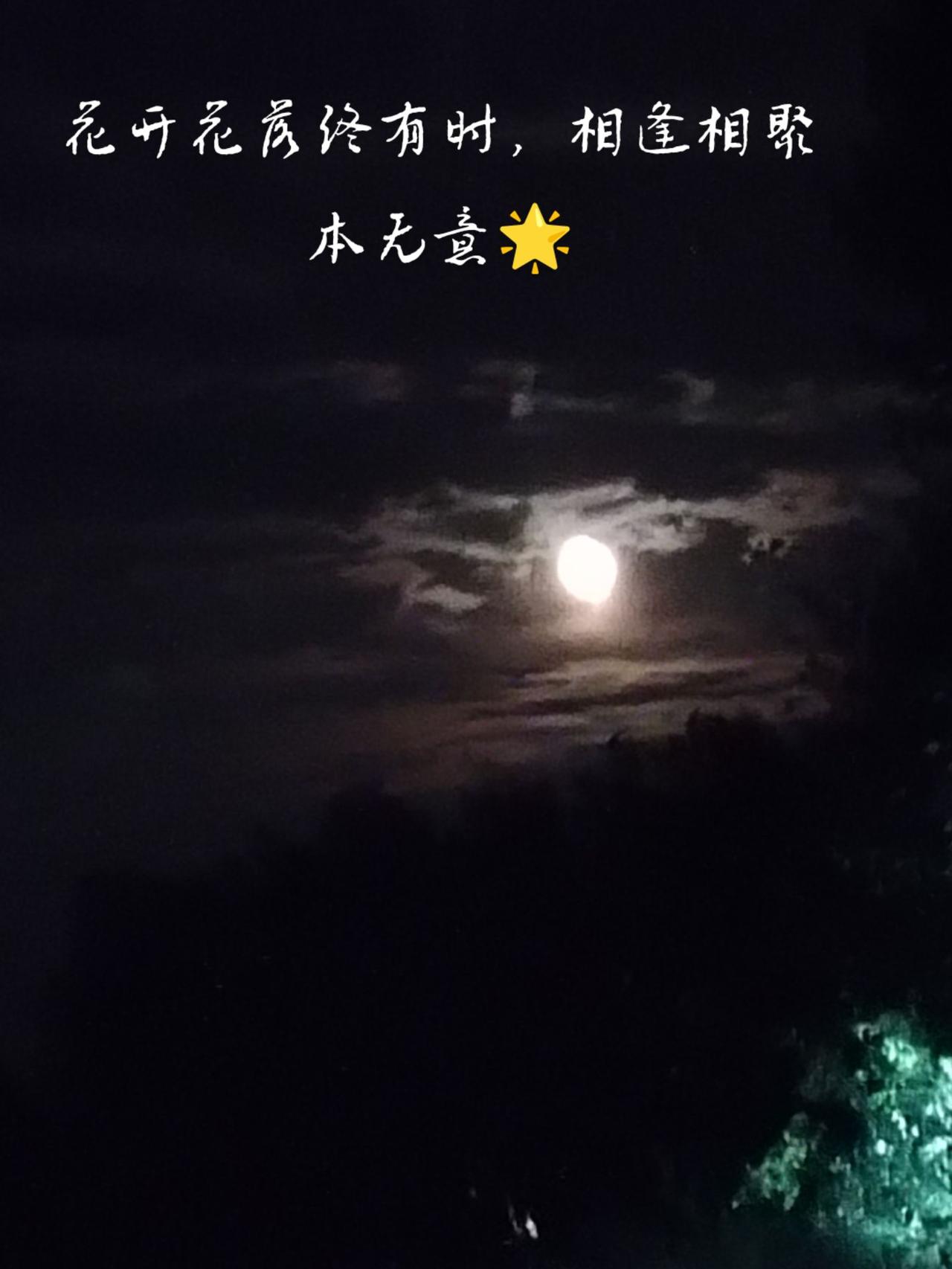 先解决心情，再解决事情，心若沉隐，何惧之有。