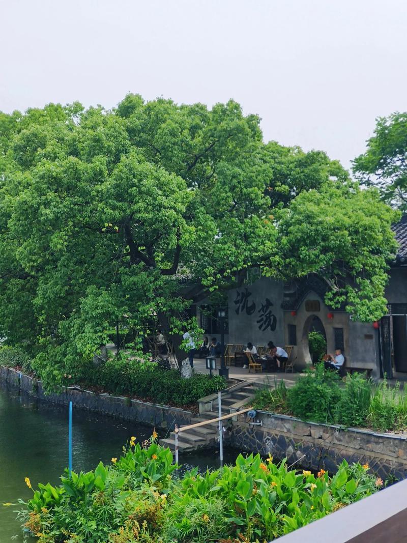 浙江嘉兴旅游，余华故乡沈荡古镇美景攻略！
沈荡古镇
美景和美食推荐：
1、贲湖老