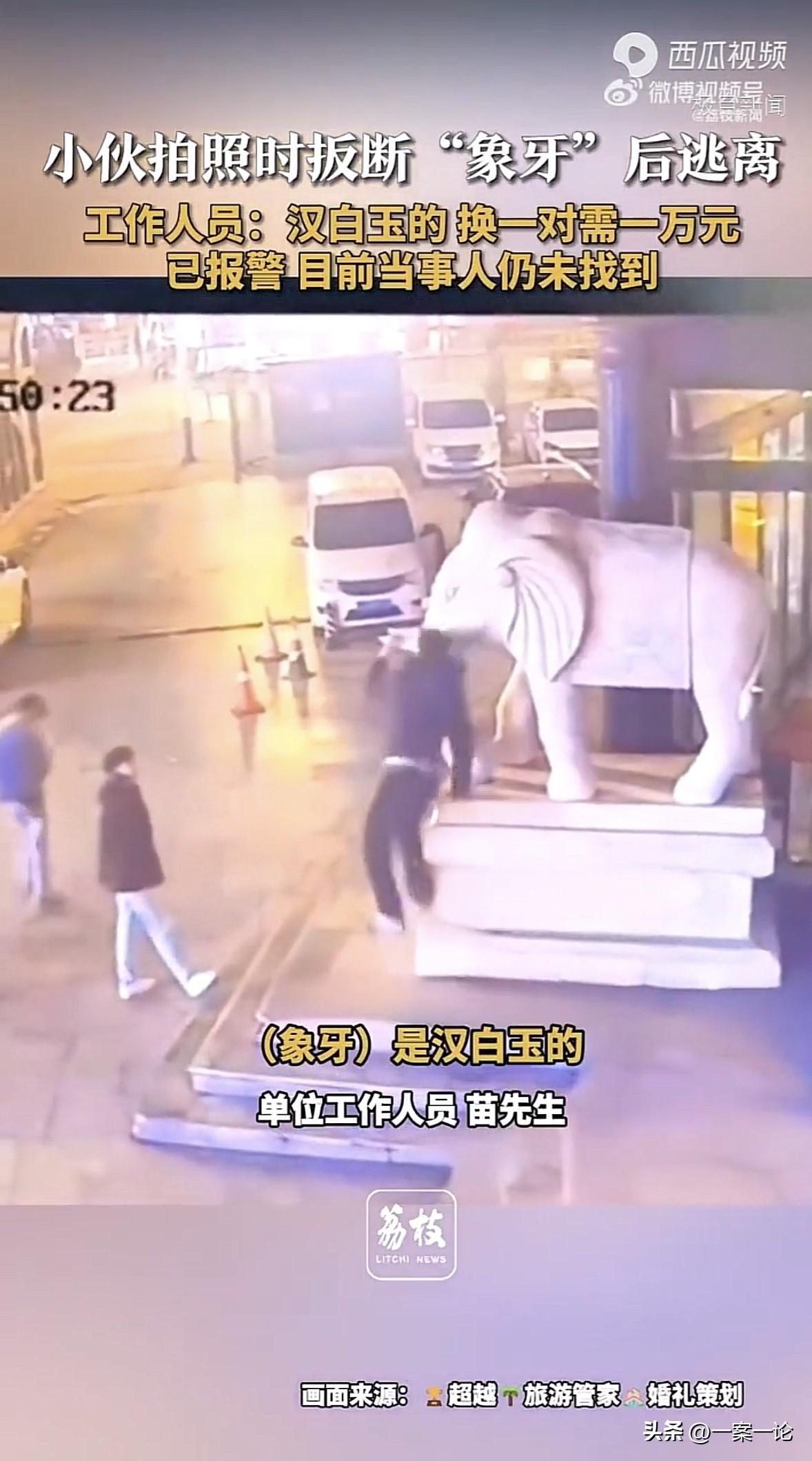 河北沧州，男子在一石雕大象的底座拍照，为了凹造型，他双手抓住象牙，整个人悬在空中