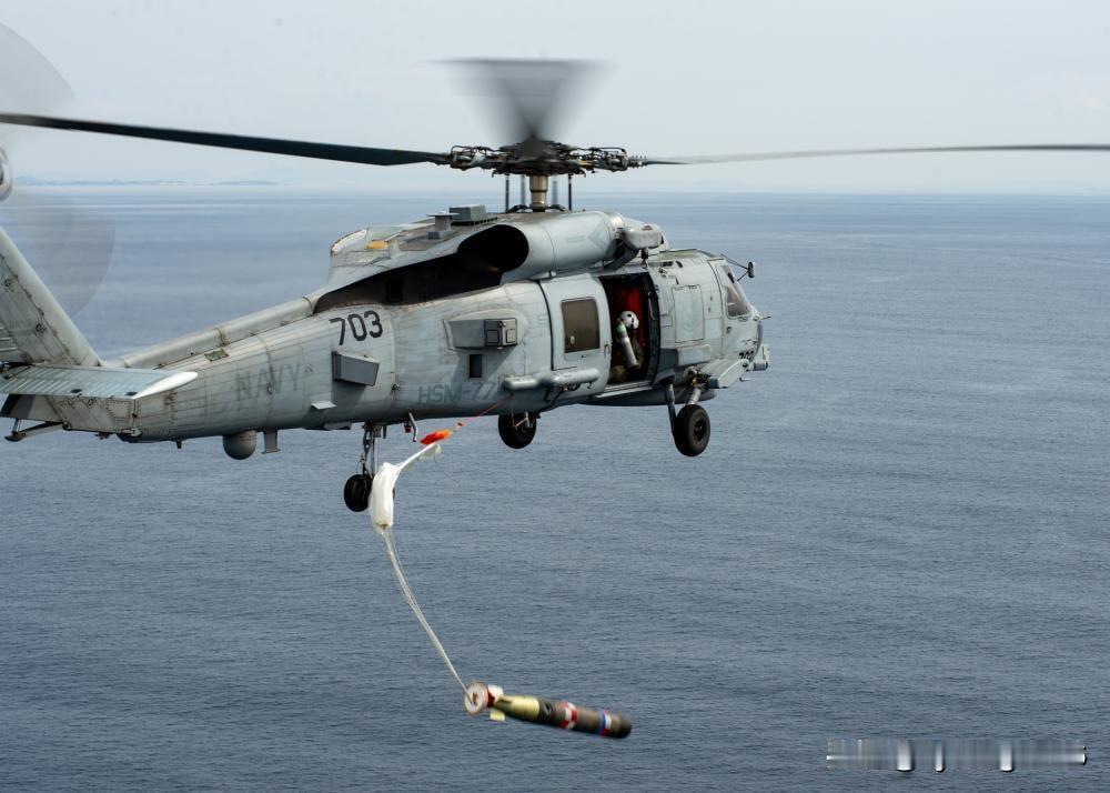 🇺🇸台湾地区正在与美国就采购MH-60R“海鹰”反潜直升机进行磋商。

10