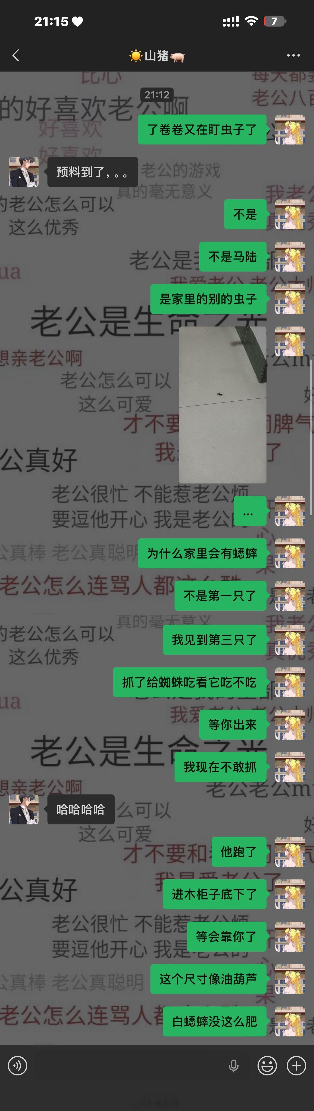 谁家打翻油葫芦了，总不能是野生的油葫芦吧俺家的守宫嘎了块一年了，必然不会是我家的