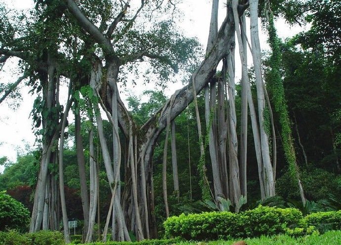 云南旅游之最 | 收藏1.最浪漫：丽江； 2.最诗意：元阳梯田；3.最悠闲：双廊