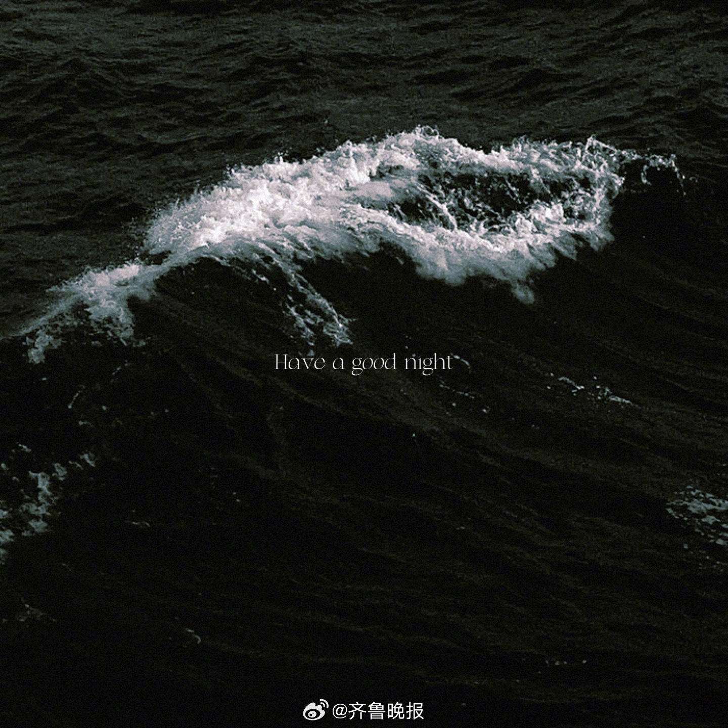 不管别人怎么看人生不应该留下太多的遗憾#晚安#