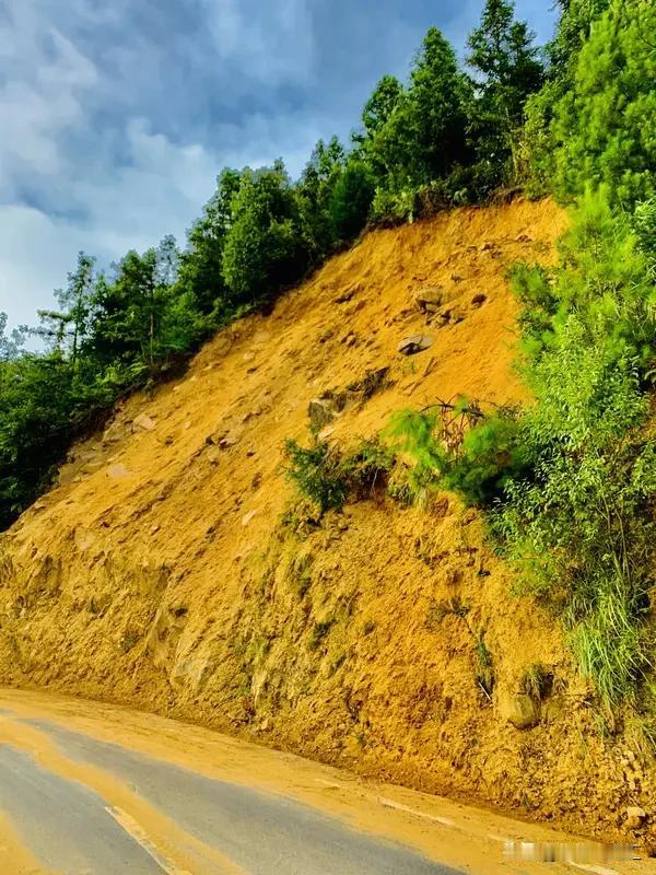 山体滑坡很危险，了解它发生前的征兆能救命。比如山坡上的树木和电线杆发生歪斜，这是