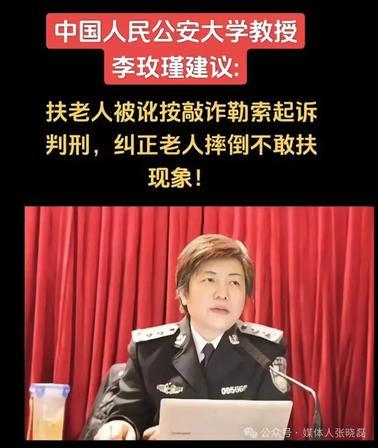 不能判刑，那就高额罚款！"中国人民公安大学李玫瑾教授提议，有人好心扶老人反被索要