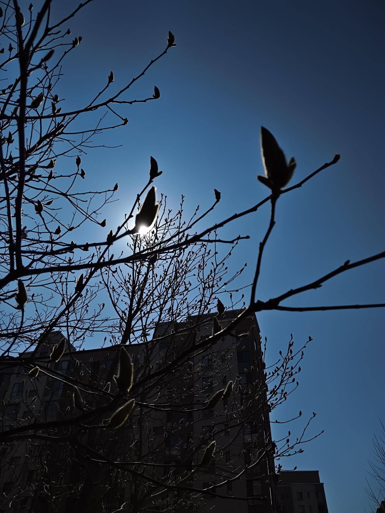 “无忧无虑”真幸福
       办公室里有三个年轻人，也就是工作了三五年，家境