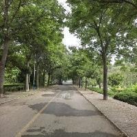 定居在太原的邻居前几天回来，说是让留意一下谁想买房子，她的房子计划卖。


邻居