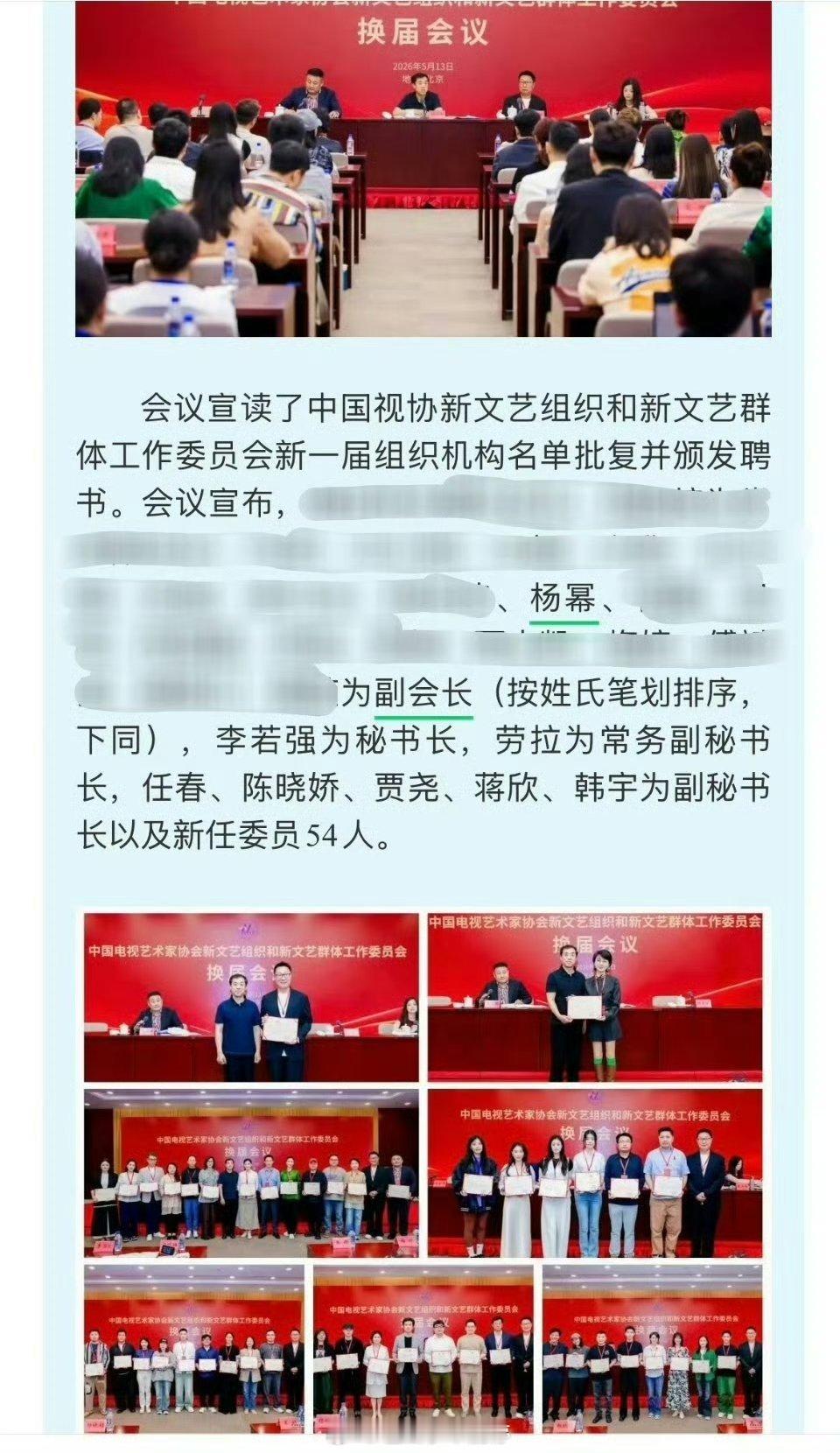 杨幂被聘任为中国视协新文艺组织和新文艺群体工作委员会副会长！！ 