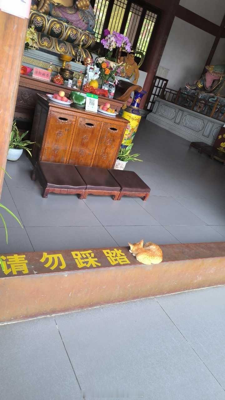 晚安 ​​​