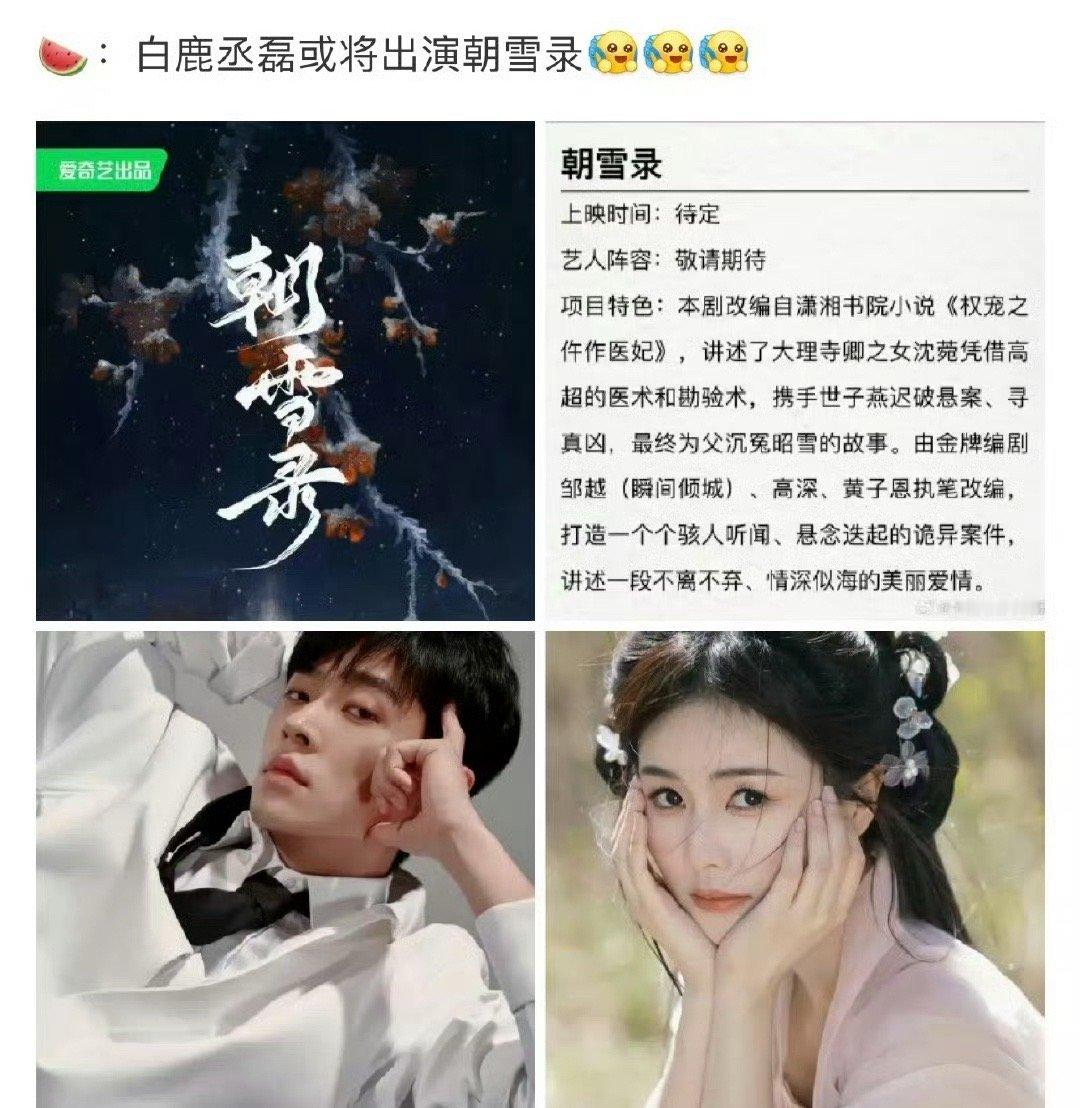 看来白鹿丞磊不合作不行了 朝雪录还没来又来了一个莫离[揣手] 你觉得有cp感吗 