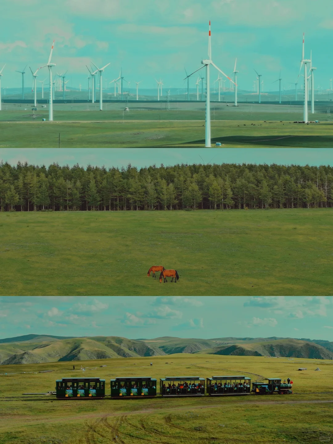 影像大赛｜黄花沟大草原📷