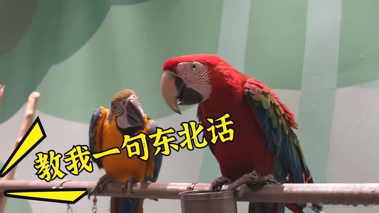 东北澡堂辟100多平米存南方行李箱  东北澡堂的存包区让人惊叹，南方朋友的行李箱