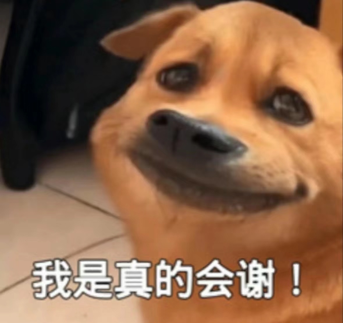 #无线耳机的破防时刻# 去年考研那会在图书馆，手机本来连着蓝牙耳机，我想看完网课