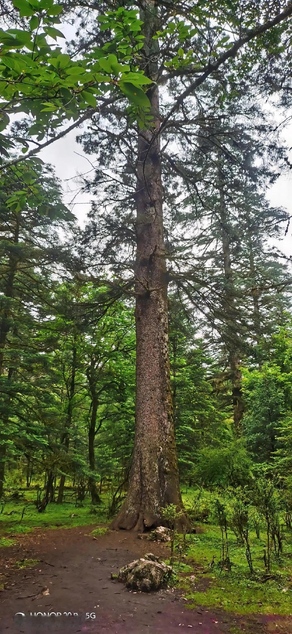 夏天来了，我们家乡人终于有一个休闲，辟暑，乘凉，娱乐的好地方，每到晚上，各乡各村