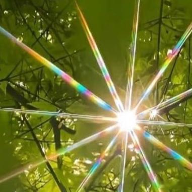 每日一善  岩⽯下的⼩草教我们坚强，峭壁上的野百合教我们执着，⼭顶上的松树教我们