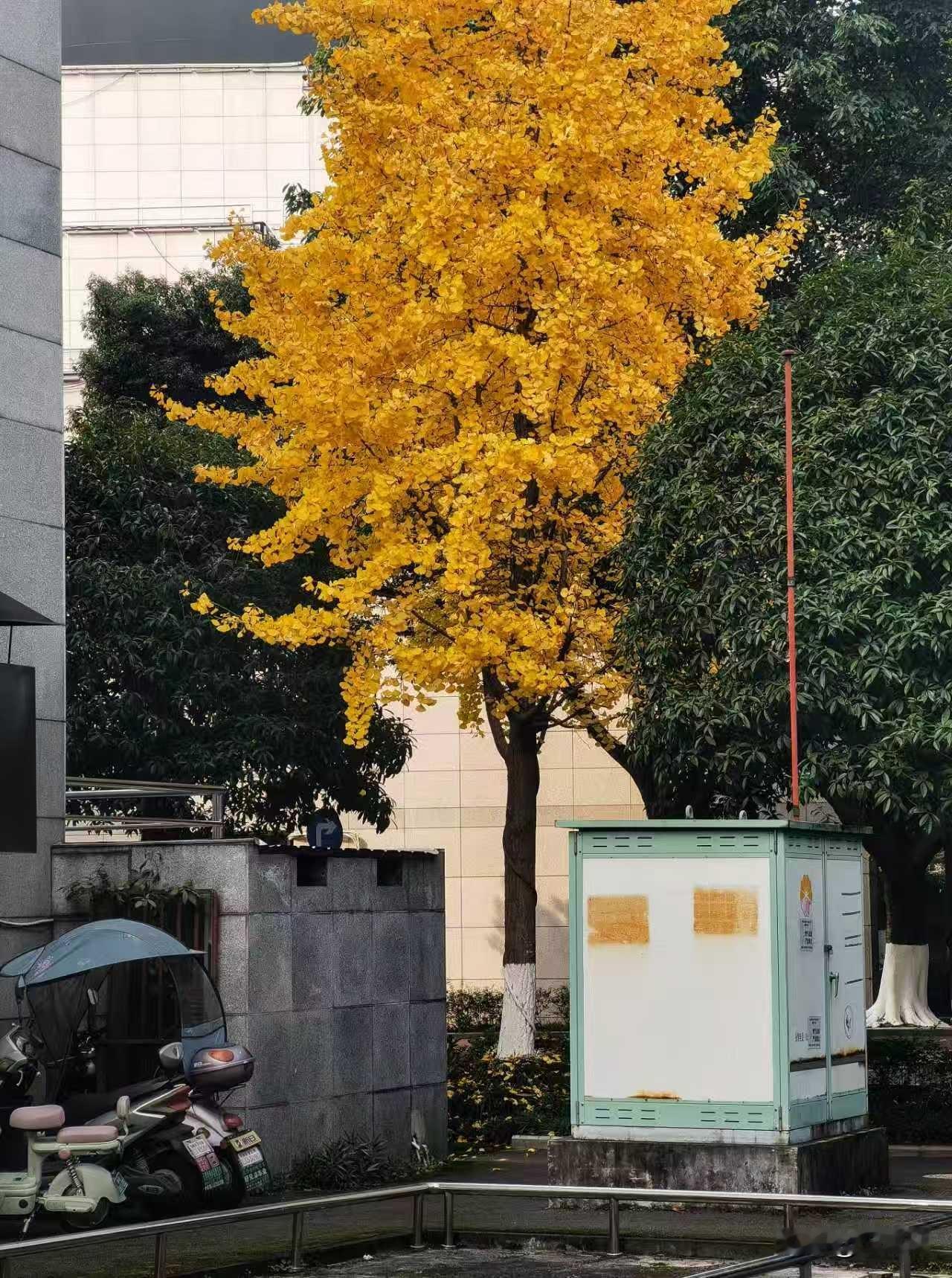 如果能给向自己推荐的头条加上一些较细的限制，你会增加些什么？
比如我会加上下面一