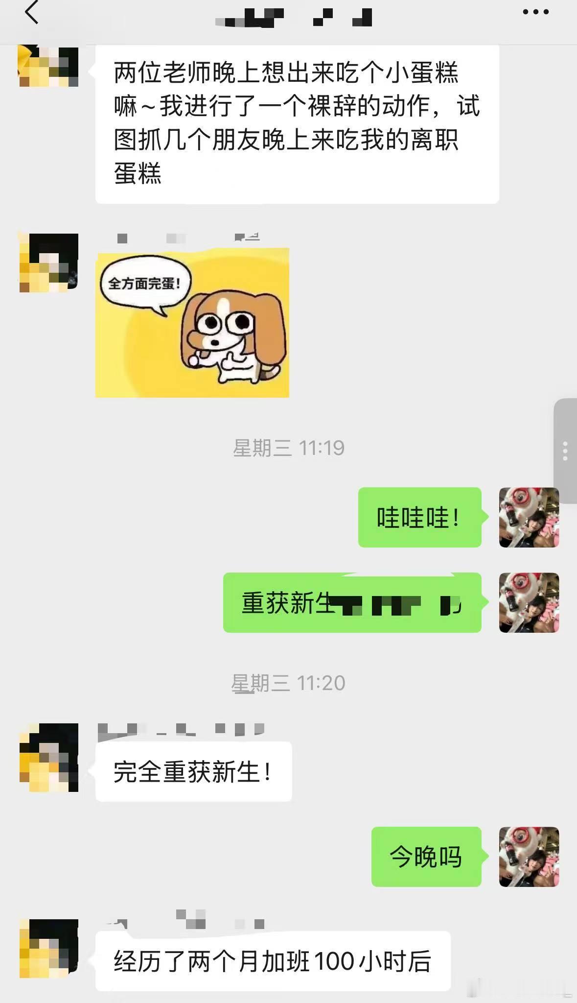 频繁换工作的原因是服从性太差 有没有可能待遇不好才服从性差的[允悲]我有朋友上个
