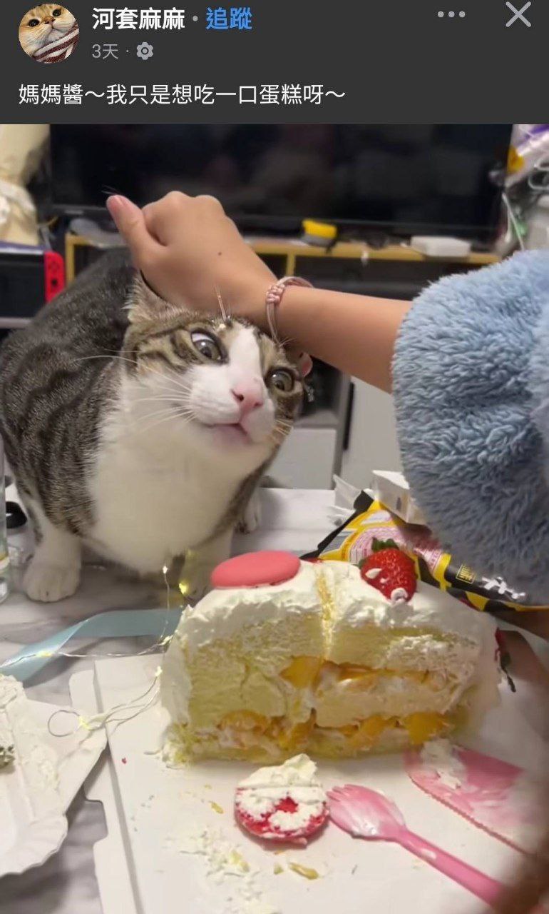 一模一样[允悲] 