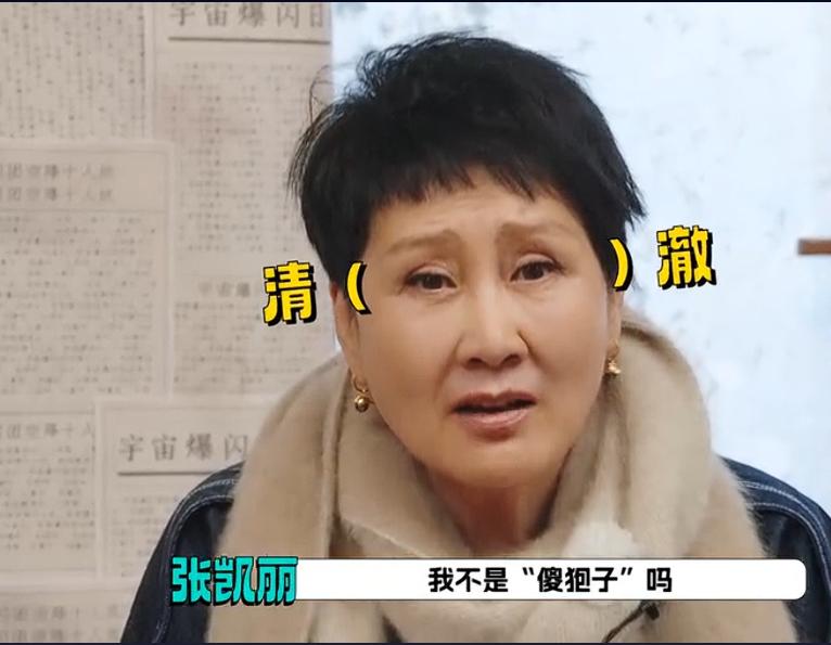 大家玩狼人杀都硬捧张凯丽，假装不知道她是狼人。黄晓明带头称赞张凯丽玩得好有战术是