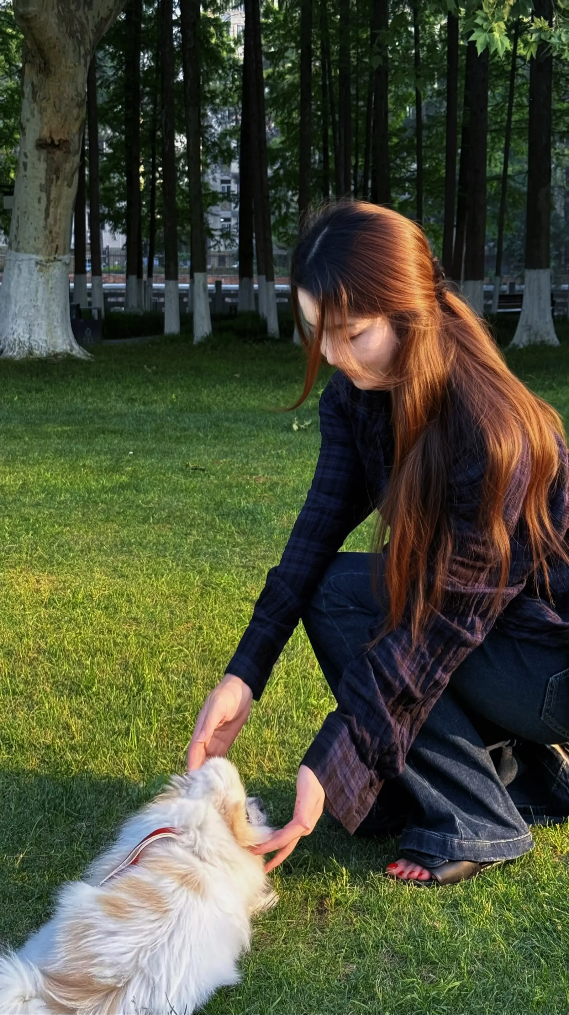 如果全世界都指责你，那我蹲下来亲亲你