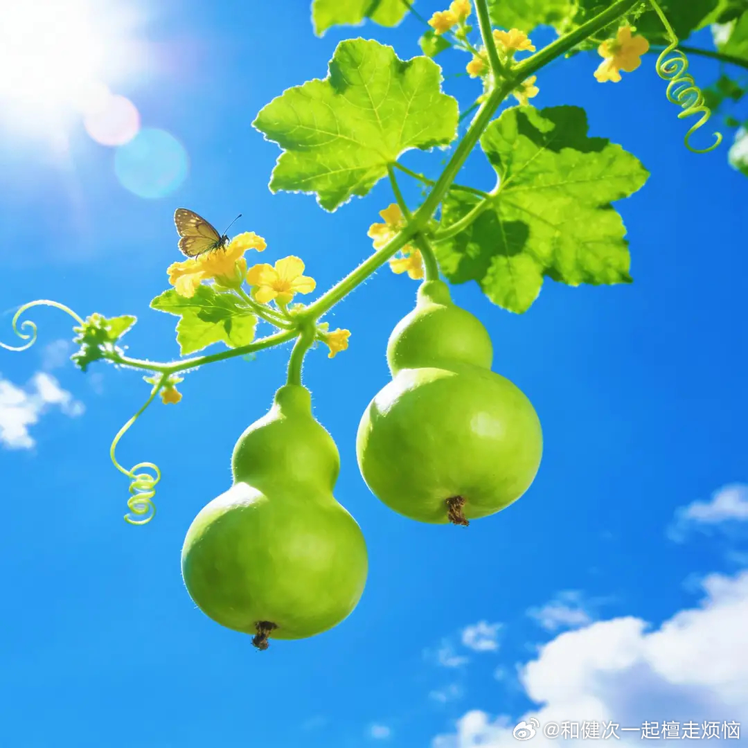 在这纷扰尘世中，修得一颗清净心。以平和接纳无常，以慈悲对待所有，让生活如古琴流出